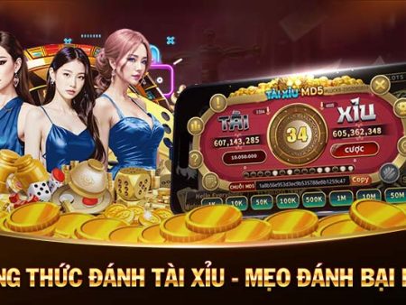 SAM86-Link truy cập nhanh giúp bạn kết nối nhanh chóng!